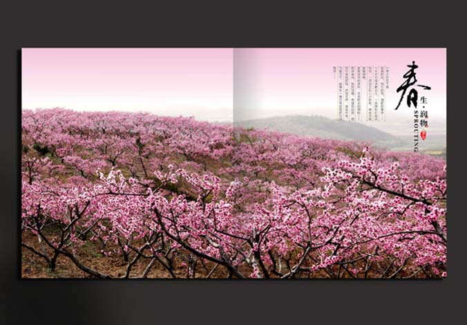 畫(huà)冊(cè)設(shè)計(jì)，標(biāo)志設(shè)計(jì)，VI設(shè)計(jì)，交互設(shè)計(jì)，包裝設(shè)計(jì)，空間導(dǎo)示，數(shù)志視頻，廣告創(chuàng)意設(shè)計(jì)，博納設(shè)計(jì)