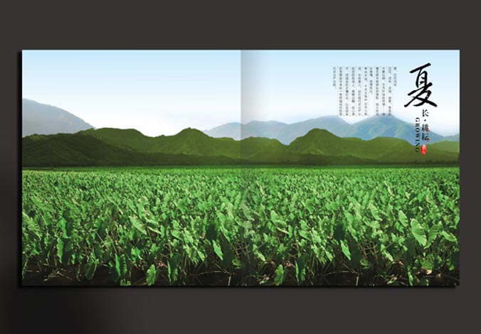 畫(huà)冊(cè)設(shè)計(jì)，標(biāo)志設(shè)計(jì)，VI設(shè)計(jì)，交互設(shè)計(jì)，包裝設(shè)計(jì)，空間導(dǎo)示，數(shù)志視頻，廣告創(chuàng)意設(shè)計(jì)，博納設(shè)計(jì)