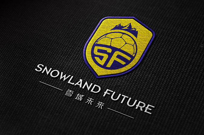 雪域未來(lái) logo設(shè)計(jì) 公司logo設(shè)計(jì) 企業(yè)標(biāo)志設(shè)計(jì)