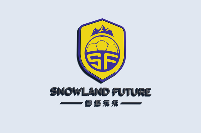 雪域未來(lái) logo設(shè)計(jì) 公司logo設(shè)計(jì) 企業(yè)標(biāo)志設(shè)計(jì)