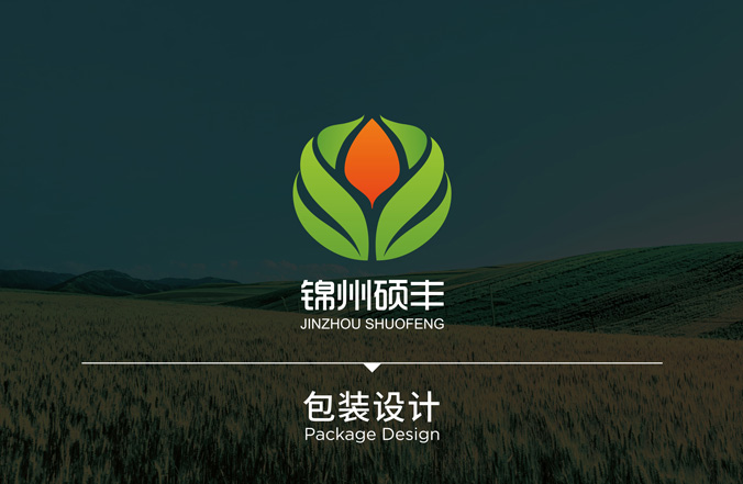 碩豐農(nóng)藥  包裝設(shè)計 外包裝設(shè)計  包裝袋設(shè)計